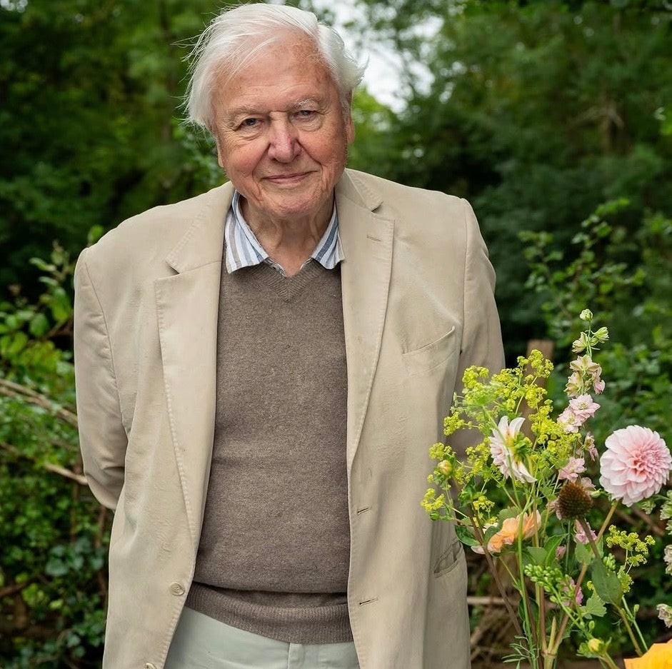 Sir David Attenborough in garden with roses