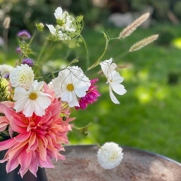 How a wild and messy garden can help the planet