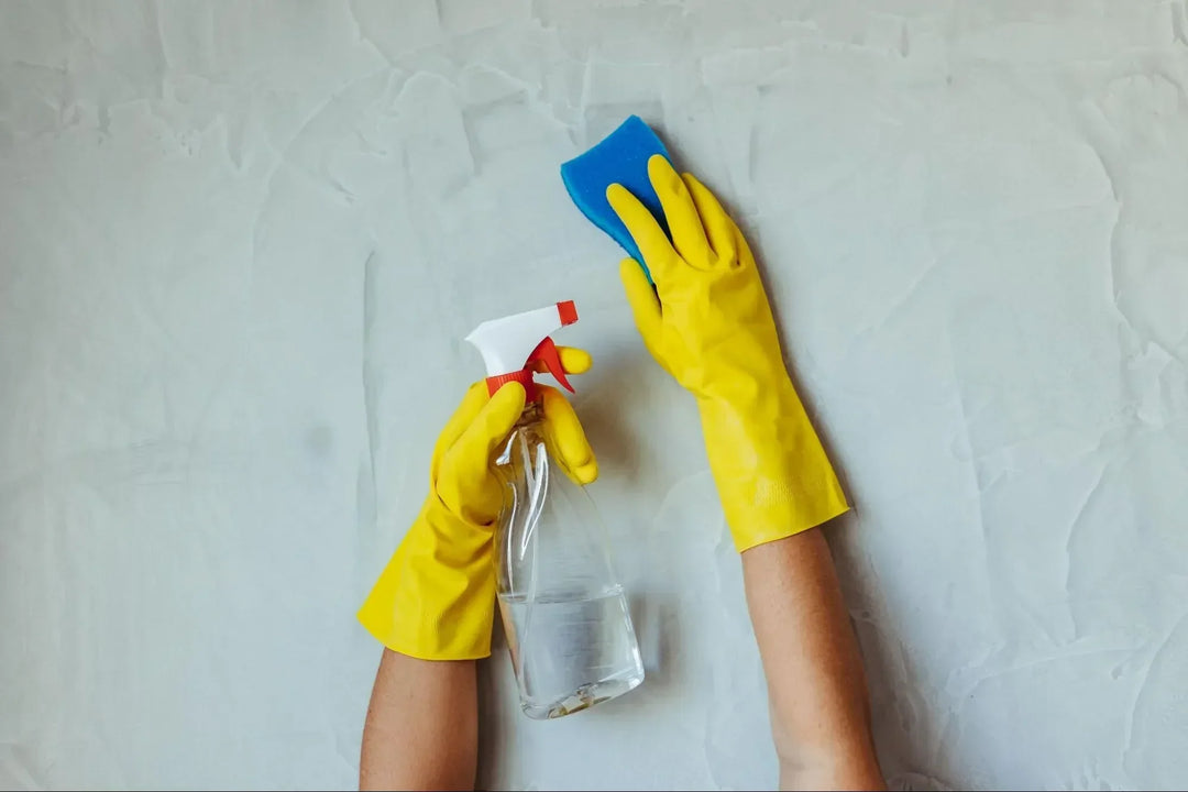 How to Remove Mould from Walls?