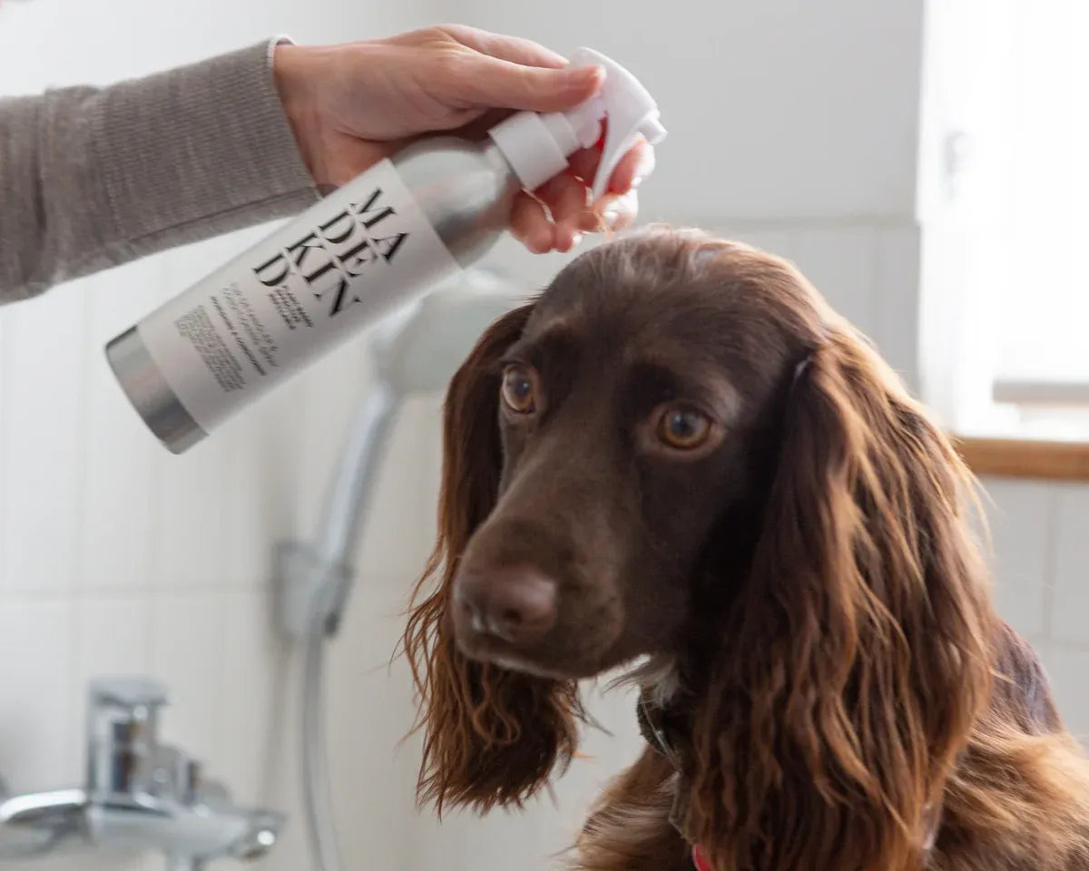 Person spraying Natural Dog Fur Detangler & Conditioning Spray