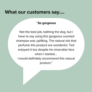 Natural Dog Shampoo - Deoderizing & Nourishing 1L Refill